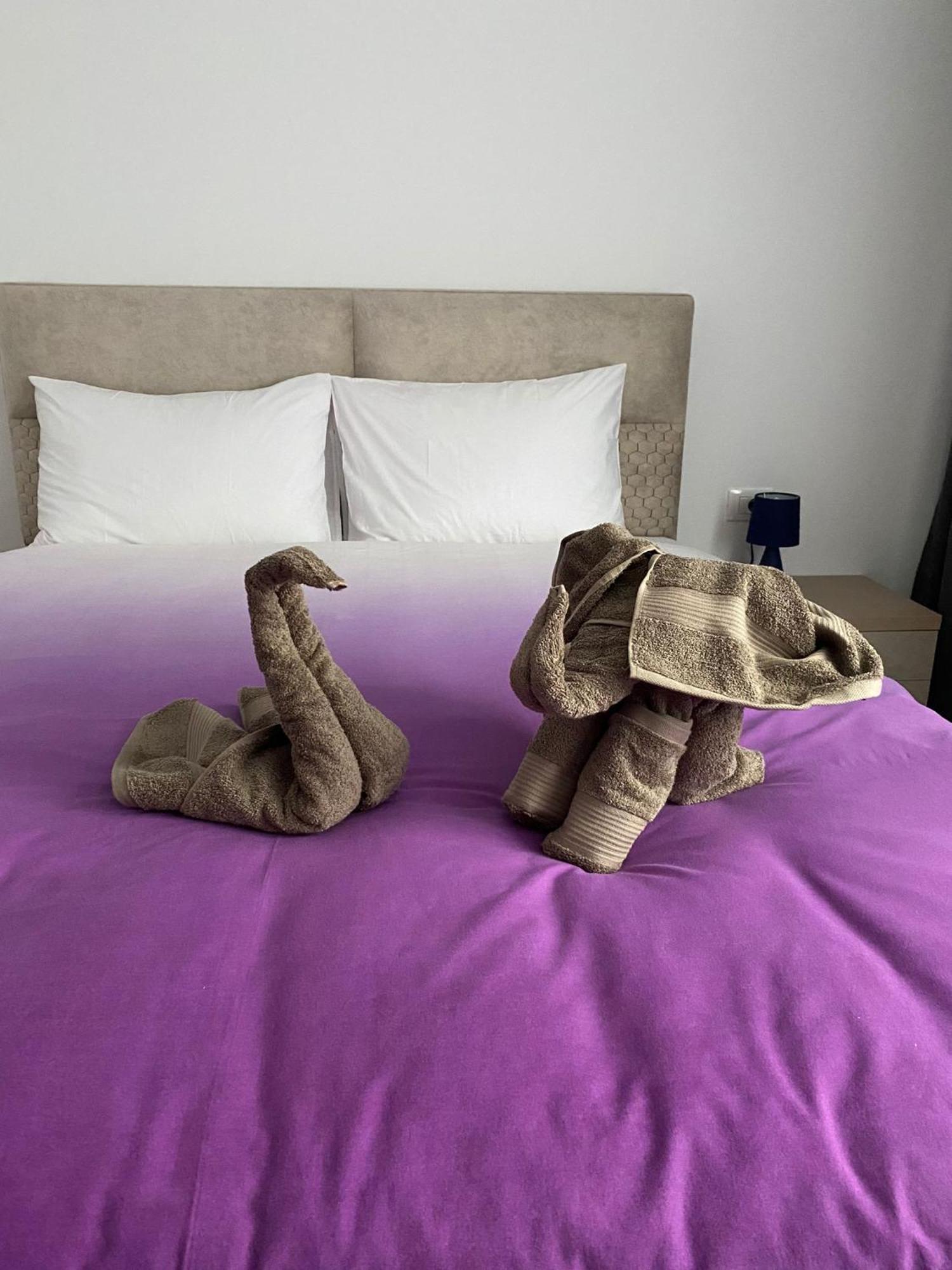 Urban Alexa Home Brasov Luaran gambar